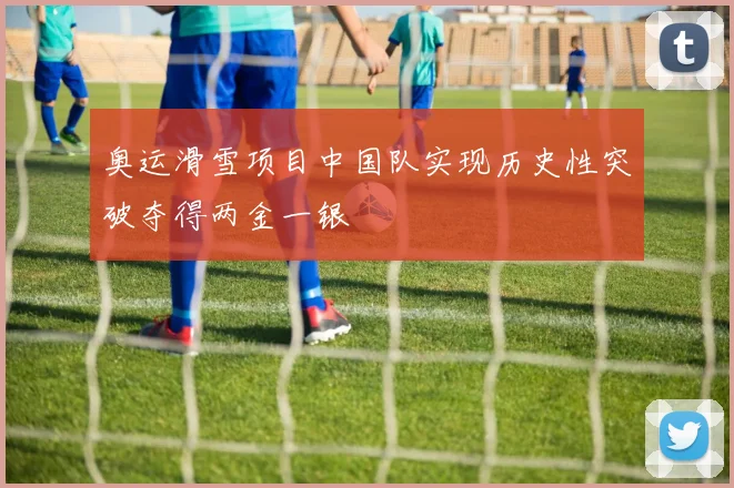 奥运滑雪项目中国队实现历史性突破夺得两金一银