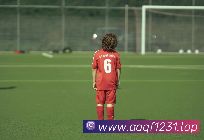 趣体育app官方网站平台生态图