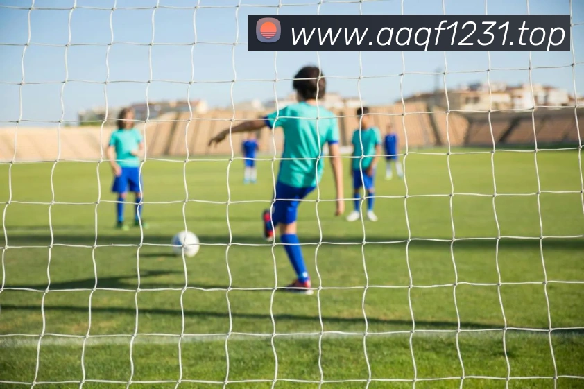 趣体育app官方网站APP 封面图